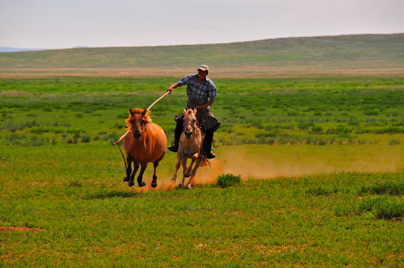 Mongolie